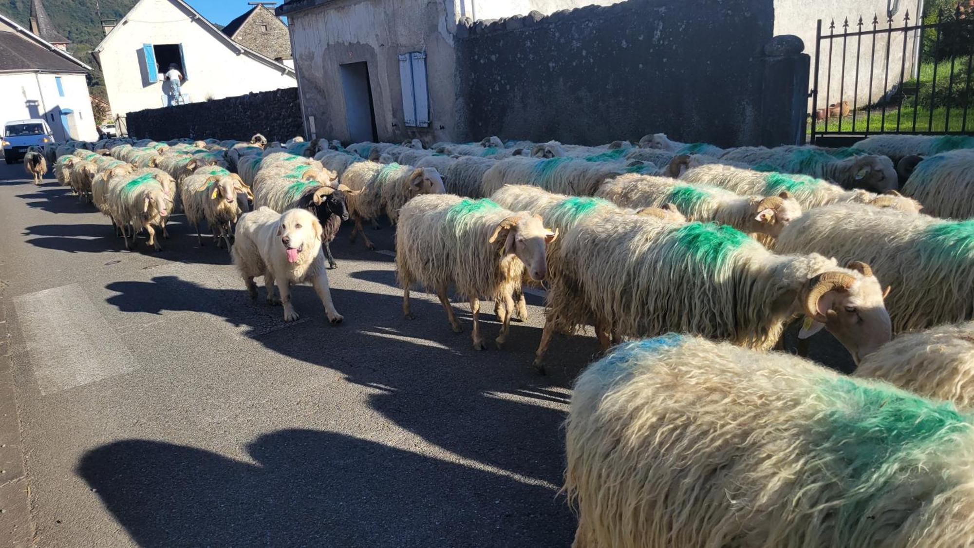 Maison De Campagne Issor Zewnętrze zdjęcie